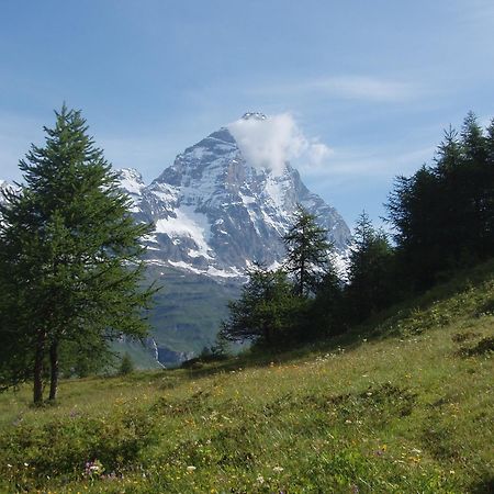 B&B A Pankeo Valtournenche Dış mekan fotoğraf