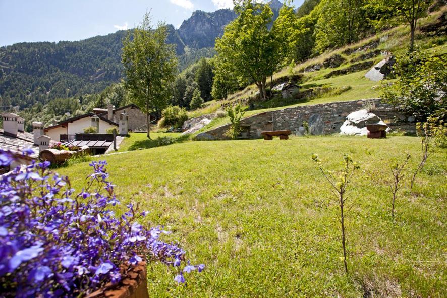 B&B A Pankeo Valtournenche Dış mekan fotoğraf